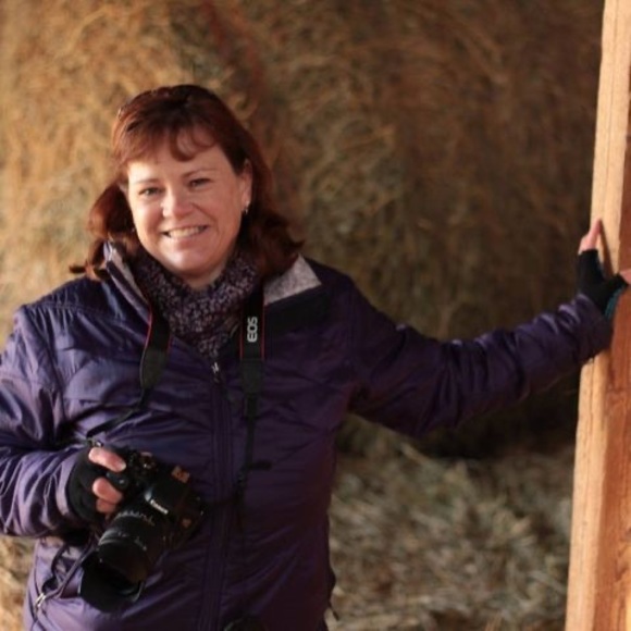 Meet your Posher, Donna - Picture 1 of 1